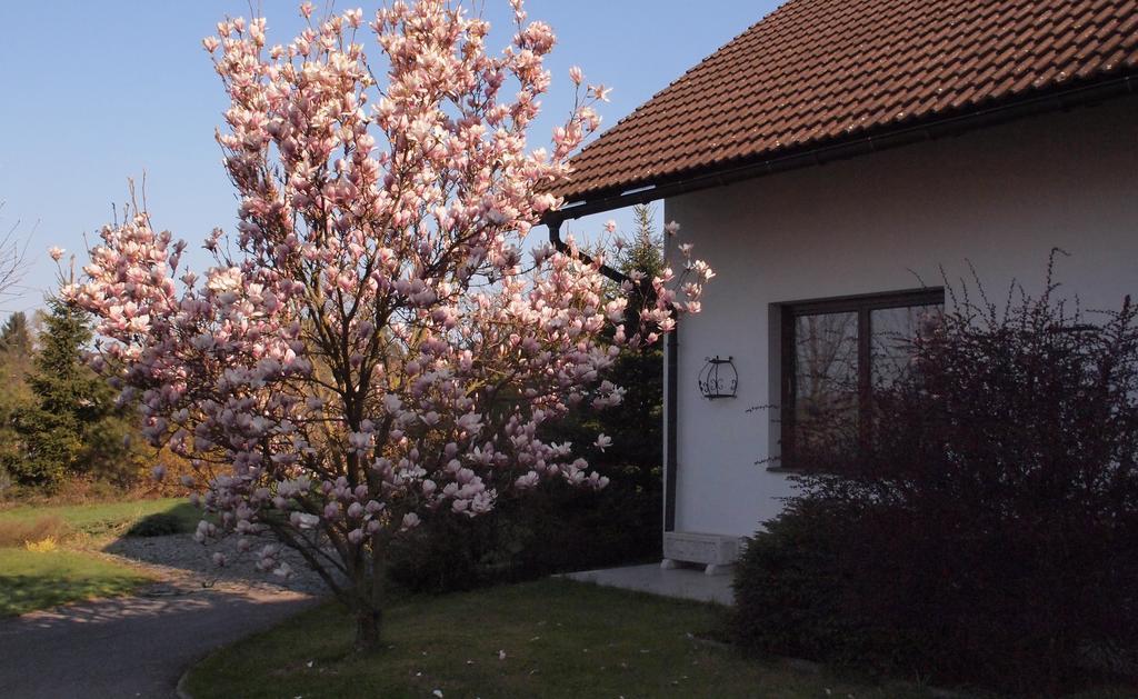 Apartmány pod Kozákovem Tatobity Esterno foto